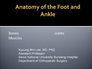 Anatomy of the Foot and Ankle Bones Muscles