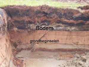 Bodem grondbeginselen Soorten Klei Zand Veen Lss Leem