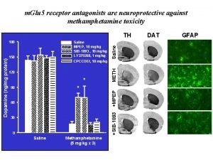 m Glu 5 receptor antagonists are neuroprotective against