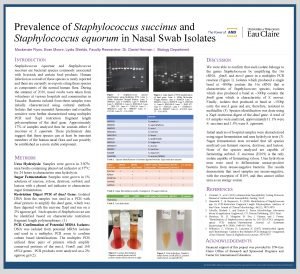 Prevalence of Staphylococcus succinus and Staphylococcus equorum in