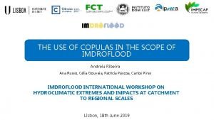 THE USE OF COPULAS IN THE SCOPE OF