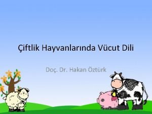 iftlik Hayvanlarnda Vcut Dili Do Dr Hakan ztrk