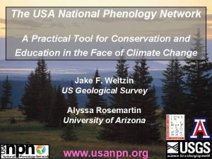 The USA National Phenology Network A Practical Tool