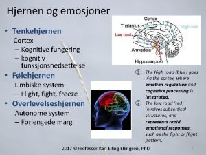 Hjernen og emosjoner Tenkehjernen Cortex Kognitive fungering kognitiv