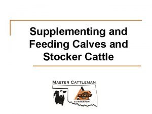 Supplementing and Feeding Calves and Stocker Cattle Discussion