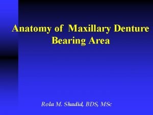 Anatomy of Maxillary Denture Bearing Area Rola M