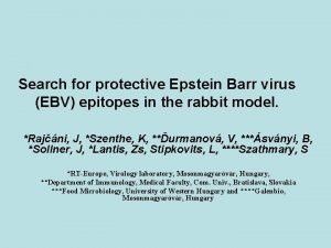 Search for protective Epstein Barr virus EBV epitopes