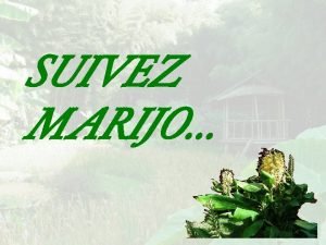 SUIVEZ MARIJO A LA BAMBOUSERAIE Anduze 2 La