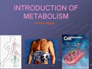 INTRODUCTION OF METABOLISM Hendra Wijaya Outline of the