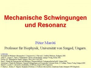 Mechanische Schwingungen und Resonanz Pter Marti Professor fr