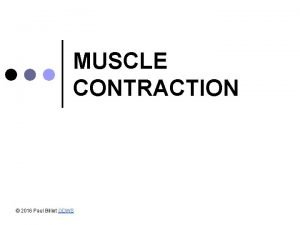 MUSCLE CONTRACTION 2016 Paul Billiet ODWS Muscle tissue