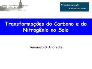 Transformaes do Carbono e do Nitrognio no Solo
