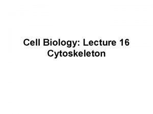 Cell Biology Lecture 16 Cytoskeleton Microtubules I Introduction