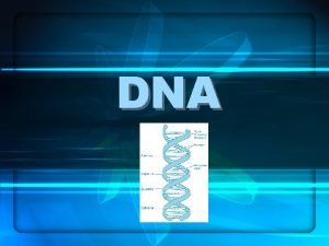 DNA DNA NEDR DNA alm Deoksiribo nkleik asit