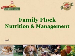 Family Flock Nutrition Management 2008 Why Do We