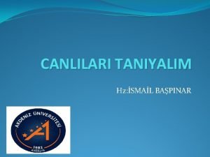 CANLILARI TANIYALIM Hz SMAL BAPINAR CANLILARI TANIYALIM Binlerce