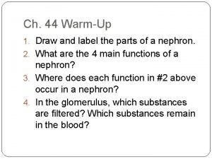 Ch 44 WarmUp 1 Draw and label the