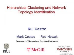 Hierarchical Clustering and Network Topology Identification Rui Castro