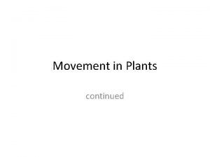 Movement in Plants continued Phloem Phloem transport sugars