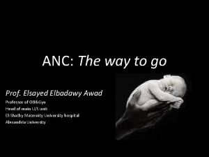 ANC The way to go Prof Elsayed Elbadawy