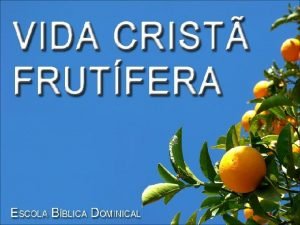 Frutificando no 8 testemunho de vida Vamos focalizar