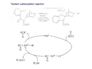 Carbonylation mechanism