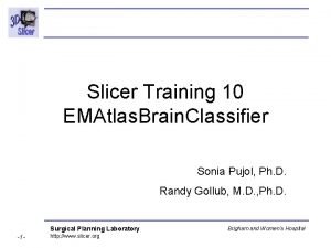 Slicer Training 10 EMAtlas Brain Classifier Sonia Pujol