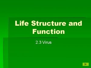 Life structure and function