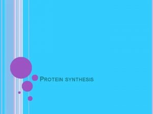 PROTEIN SYNTHESIS PROTEIN SYNTHESIS The base sequence of