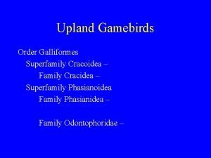 Upland Gamebirds Order Galliformes Superfamily Cracoidea Family Cracidea