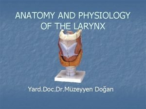 ANATOMY AND PHYSIOLOGY OF THE LARYNX Yard Doc