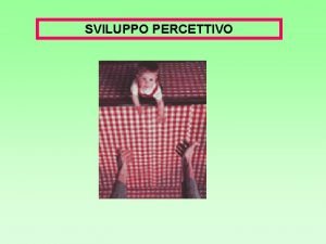 Percezione analitica e sintetica