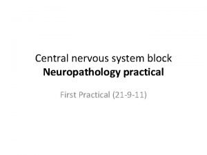 Central nervous system block Neuropathology practical First Practical