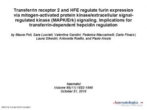 Transferrin receptor 2 and HFE regulate furin expression