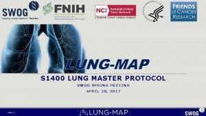 LUNGMAP S 1400 LUNG MASTER PROTOCOL SWOG SPRING