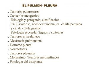 EL PULMN PLEURA Tumores pulmonares Cncer broncognico Etiologa