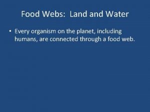 Land food webs