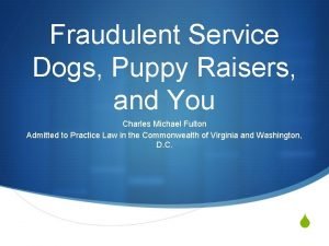 Fraudulent Service Dogs Puppy Raisers and You Charles