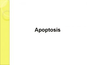 Apoptosis defination