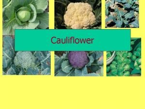 Value added products of cauliflower