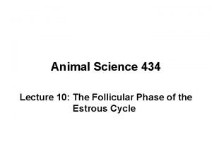 Animal Science 434 Lecture 10 The Follicular Phase