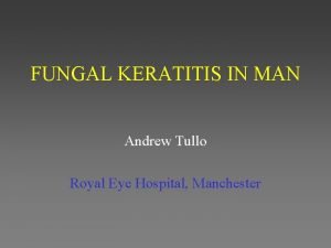 FUNGAL KERATITIS IN MAN Andrew Tullo Royal Eye