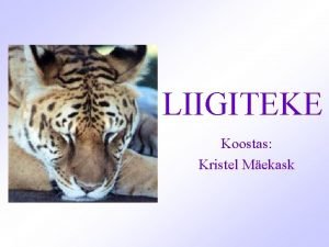 LIIGITEKE Koostas Kristel Mekask Liik on looduslik organismirhm