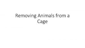 Removing Animals from a Cage Read cage card