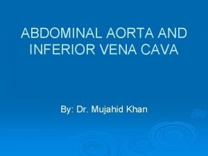 Abdominal aorta and inferior vena cava