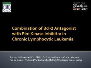 Combination of Bcl2 Antagonist with Pim Kinase Inhibitor
