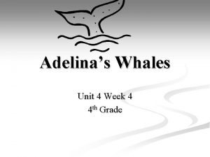 Adelinas Whales Unit 4 Week 4 4 th