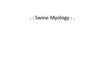 Porcine myology