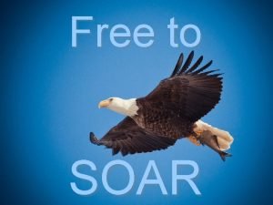 Free to SOAR Free to SOAR An obstacle