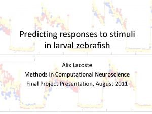 Predicting responses to stimuli in larval zebrafish Alix